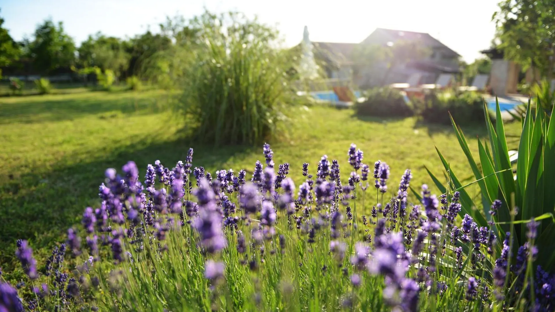 Holiday Home Pavlovi Dvori Smilcic